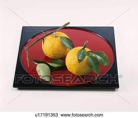 Yellow Yuzu Citron View Large Photo Image Stock Image - Yellow Yuzu Citron. Fotosearch