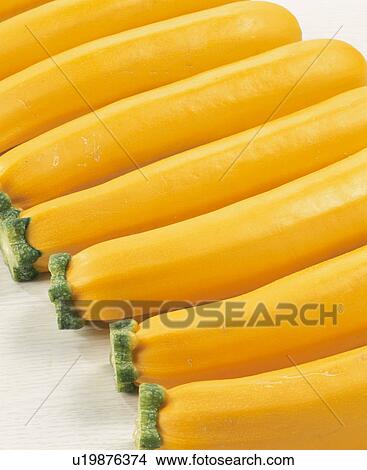 Picture - Zucchini. Fotosearch