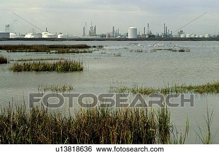 Stock Photograph - Oil Refinery on Bay with Pelicans in Water in Foreground. Fotosearch