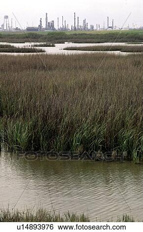 Oil Refinery with Seagrass and Inland Waterway in Foreground View Large Photo Image Stock Photograph - Oil Refinery with Seagrass and Inland Waterway in Foreground. Fotosearch