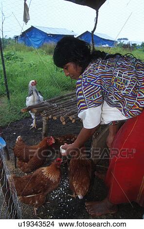 5057, woman, women, person, people, business View Large Photo Image Picture - 5057, woman, women, person, people, business. Fotosearch