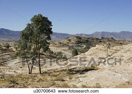 africa, person, adigrat, landscape, ethiopia, people View Large Photo Image Stock Image - africa, person, adigrat, landscape, ethiopia, people. Fotosearch