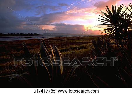 Stock Photography - alameda, silhouette, sunset, shoreline, sun, water. Fotosearch