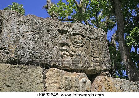 america, mayan, latin, copan, ruins, honduras View Large Photo Image Stock Photography - america, mayan, latin, copan, ruins, honduras. Fotosearch