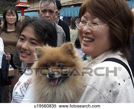 Stock Photography - asakusa, people, faces, japan, person, dog. Fotosearch