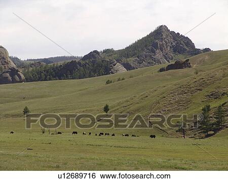 baatar, person, ulaan, landscape, mongolia, people View Large Photo Image Stock Photograph - baatar, person, ulaan, landscape, mongolia, people. Fotosearch