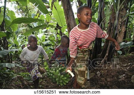 bananas, person, carrying, sisters, tanzania, people View Large Photo Image Stock Image - bananas, person, carrying, sisters, tanzania, people. Fotosearch