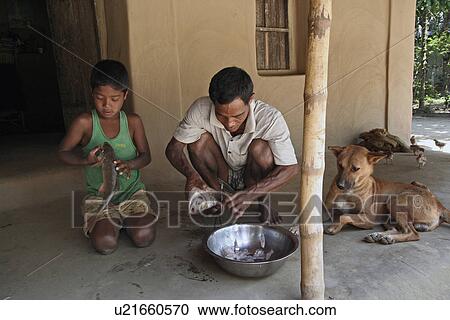 bangladesh, food, fish, person, people, dog View Large Photo Image Stock Image - bangladesh, food, fish, person, people, dog. Fotosearch