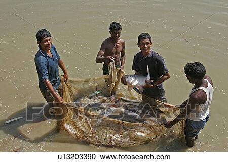 Stock Image - bangladesh, water, fish, person, people, business. Fotosearch