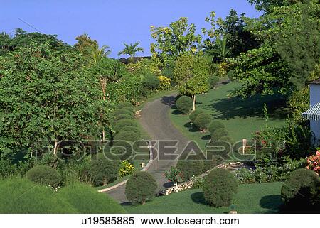 bay, grounds, montego, hill, round, path View Large Photo Image Stock Photography - bay, grounds, montego, hill, round, path. Fotosearch