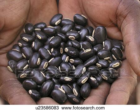 black, pattern, zambia, person, nature, people View Large Photo Image Stock Image - black, pattern, zambia, person, nature, people. Fotosearch
