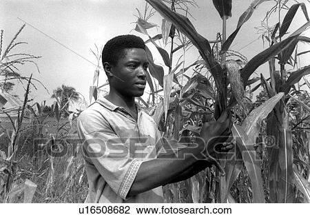 Stock Image - black, people, 493, book, person, background. Fotosearch