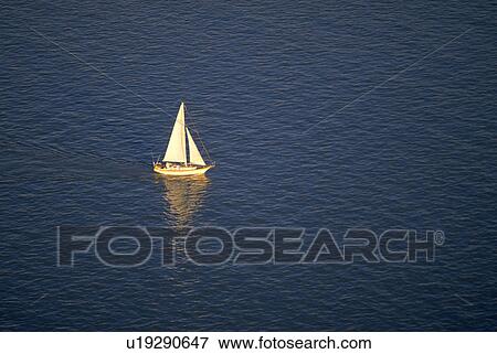 boat, sailboat, bay, francisco, san, water View Large Photo Image Stock Photo - boat, sailboat, bay, francisco, san, water. Fotosearch