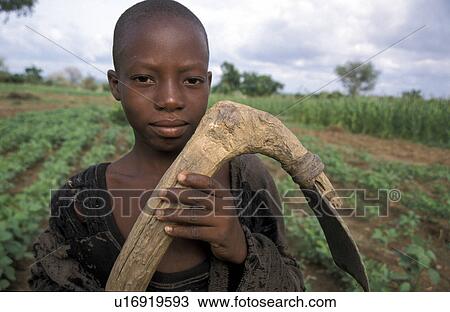 bolgatanga, person, bongo, boy, ghana, people View Large Photo Image Stock Image - bolgatanga, person, bongo, boy, ghana, people. Fotosearch