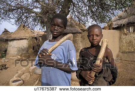 bongo, person, boys, ghana, 7657, people View Large Photo Image Stock Photo - bongo, person, boys, ghana, 7657, people. Fotosearch