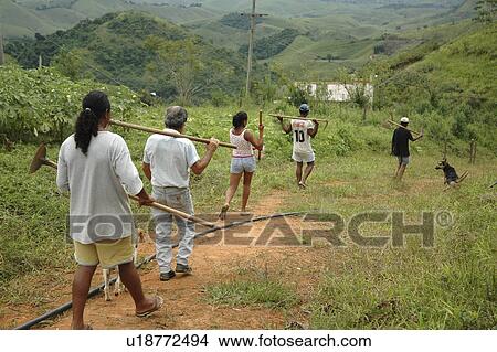 brazil, people, children, person, house, family View Large Photo Image Picture - brazil, people, children, person, house, family. Fotosearch