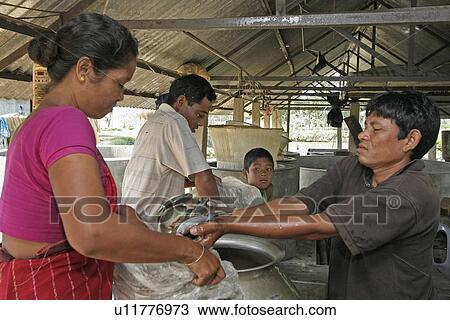 Stock Image - buying, people, bangladesh, fish, person, family. Fotosearch