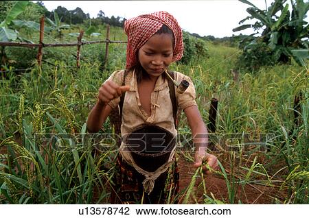 cambodia, girl, 5503, women, person, people View Large Photo Image Stock Image - cambodia, girl, 5503, women, person, people. Fotosearch