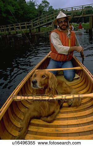 Stock Photography - canoe, retriever, golden, male. Fotosearch