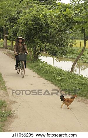 Stock Photography - carrying, people, female, vietnam, person, woman. Fotosearch