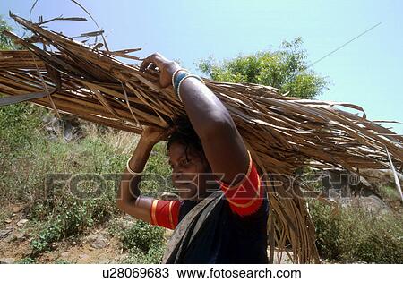carrying, person, india, 5287, women, people View Large Photo Image Stock Image - carrying, person, india, 5287, women, people. Fotosearch