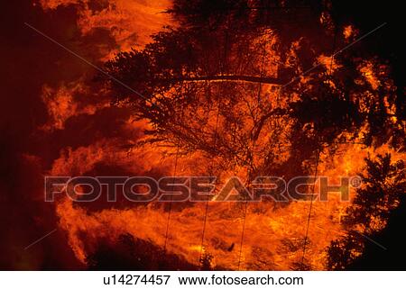 catastrophe, fire, 1991, firestorm, oakland, nature View Large Photo Image Stock Photo - catastrophe, fire, 1991, firestorm, oakland, nature. Fotosearch