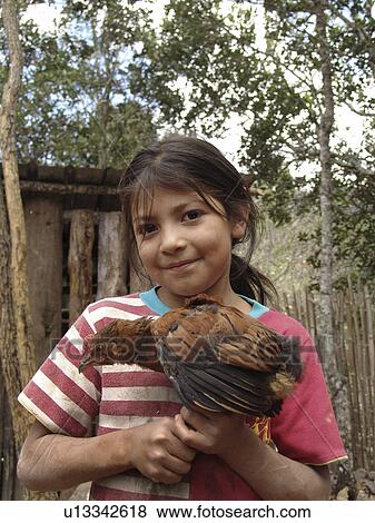 chicken, girl, holding, honduras, person, people View Large Photo Image Stock Photo - chicken, girl, holding, honduras, person, people. Fotosearch