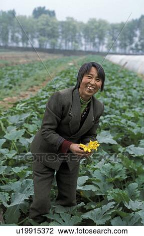 china, flowers, 7122, person, people, woman View Large Photo Image Stock Image - china, flowers, 7122, person, people, woman. Fotosearch