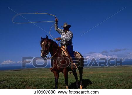 circle, horse, rope, lariat, twirls, cowboy View Large Photo Image Stock Image - circle, horse, rope, lariat, twirls, cowboy. Fotosearch