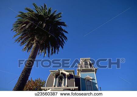coast, house, california, cruz, santa, tree View Large Photo Image Stock Photo - coast, house, california, cruz, santa, tree. Fotosearch