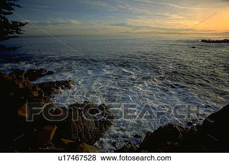 coastline, pacific, front, ocean, grove, nature View Large Photo Image Stock Photo - coastline, pacific, front, ocean, grove, nature. Fotosearch
