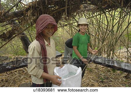 community, people, cambodia, women, person, woman View Large Photo Image Stock Image - community, people, cambodia, women, person, woman. Fotosearch