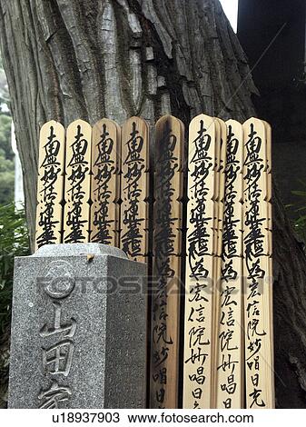 Stock Image - detail, pattern, japan, person, nature, people. Fotosearch
