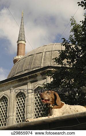 dome, person, ottoman, detail, turkey, people View Large Photo Image Picture - dome, person, ottoman, detail, turkey, people. Fotosearch