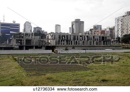 downtown, person, garden, vegetable, venezuela, people View Large Photo Image Picture - downtown, person, garden, vegetable, venezuela, people. Fotosearch