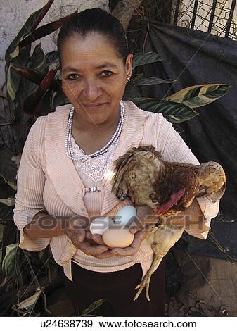 eggs, people, chicken, honduras, person, woman View Large Photo Image Stock Photo - eggs, people, chicken, honduras, person, woman. Fotosearch