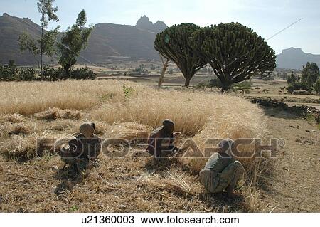 Stock Image - farmers, person, tigray, ghiraltar, ethiopia, people. Fotosearch