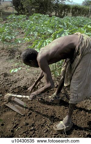 farming, person, victim, leprosy, ethiopia, people View Large Photo Image Stock Photography - farming, person, victim, leprosy, ethiopia, people. Fotosearch