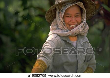 Stock Photography - female, asia, woman, farmer, southeast, thailand. Fotosearch