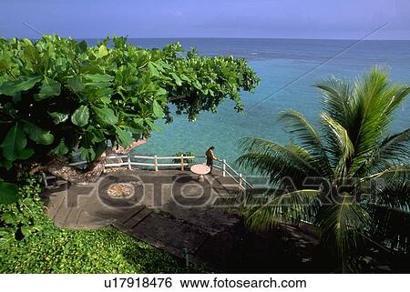 female, ocean, out, looking, woman View Large Photo Image Stock Photograph - female, ocean, out, looking, woman. Fotosearch