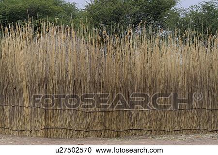 Stock Image - fencing, border, detail, namibia, person, people. Fotosearch