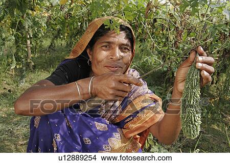 food, women, person, people, woman View Large Photo Image Picture - food, women, person, people, woman. Fotosearch