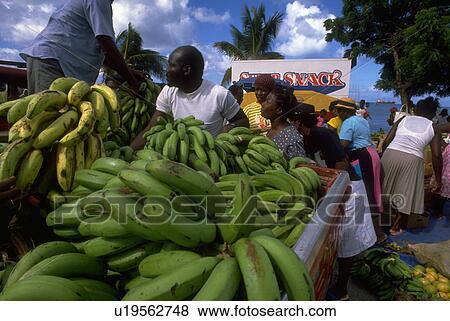 Stock Photo - fruit, couple, bananas, green, sells, young. Fotosearch