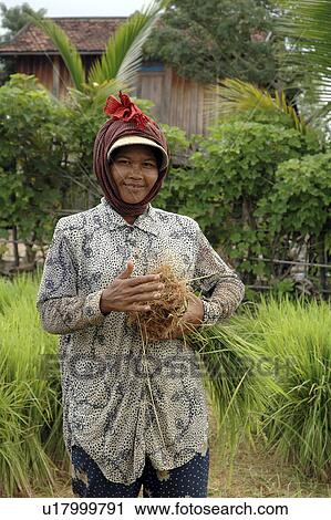 Stock Image - getting, people, farmers, cambodia, person, woman. Fotosearch