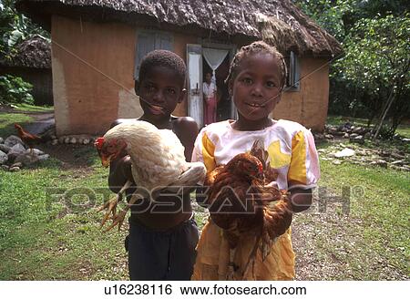 Stock Photograph - haiti, girl, 4285, children, person, people. Fotosearch