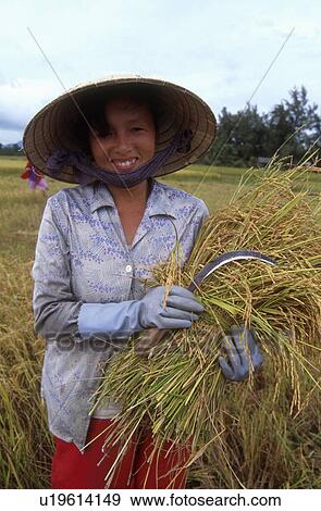 hat, people, straw, 5472, person, woman View Large Photo Image Stock Photo - hat, people, straw, 5472, person, woman. Fotosearch