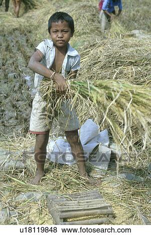 Stock Photo - helping, child, boy, 4038, person, people. Fotosearch