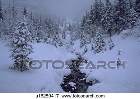 Stock Photo - hotel, canadian, springs, banff, rockies, winter. Fotosearch
