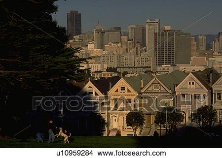 houses, city, california, francisco, san, dog View Large Photo Image Picture - houses, city, california, francisco, san, dog. Fotosearch