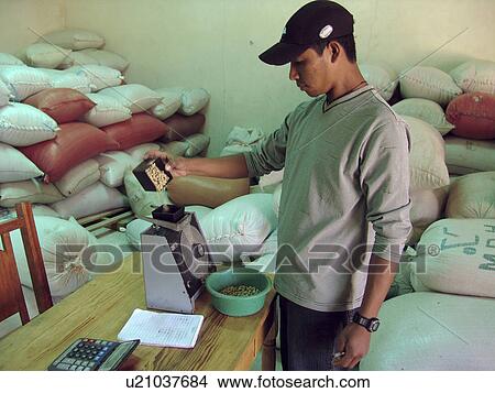 Picture - humidity, coffee, testing, honduras, person, people. Fotosearch